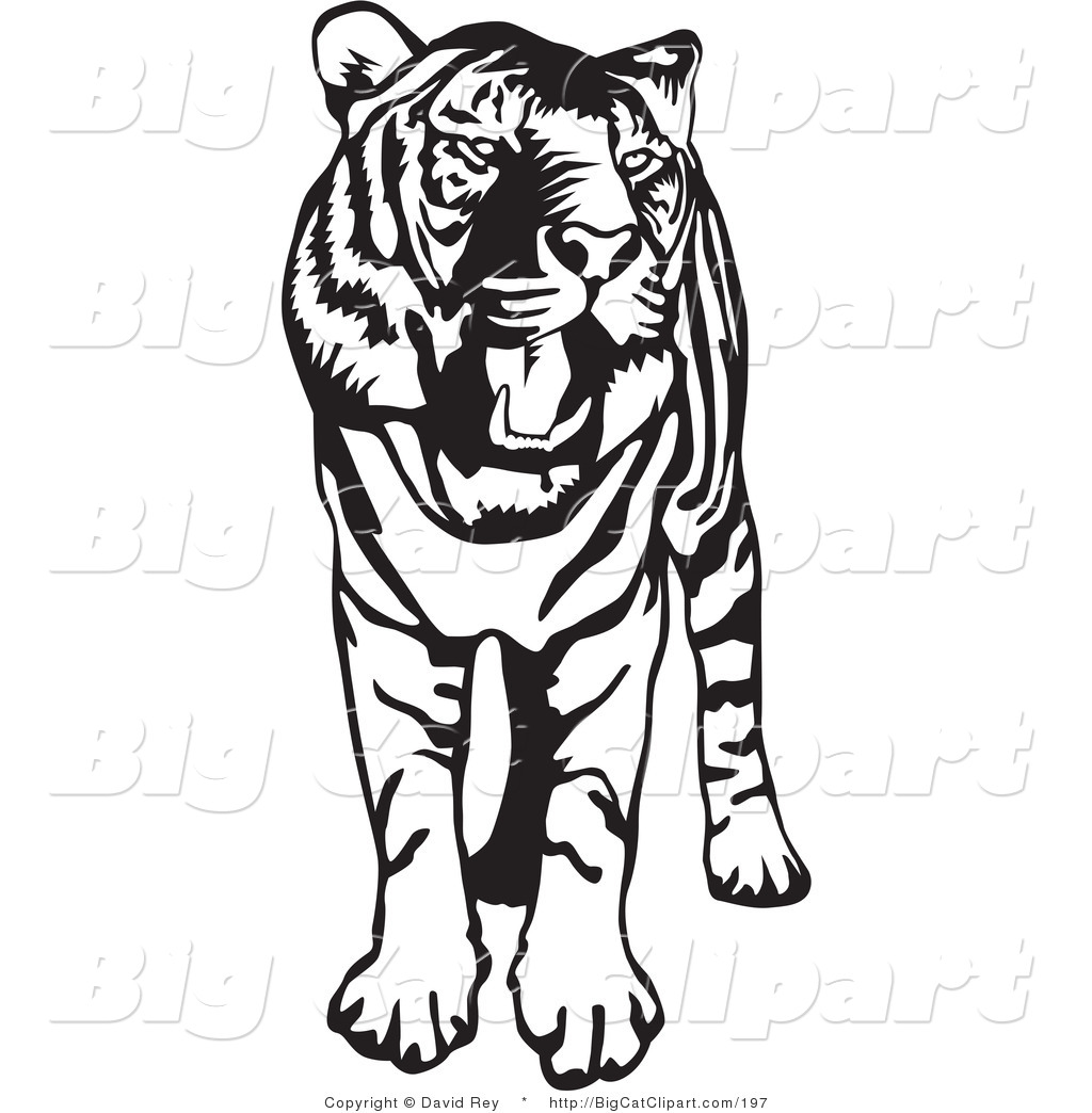 1024x1044 Tiger Face Clip Art Black And White Clipart Panda