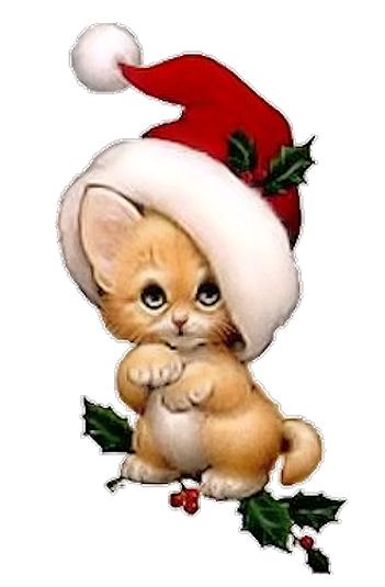 Cat Clipart Christmas