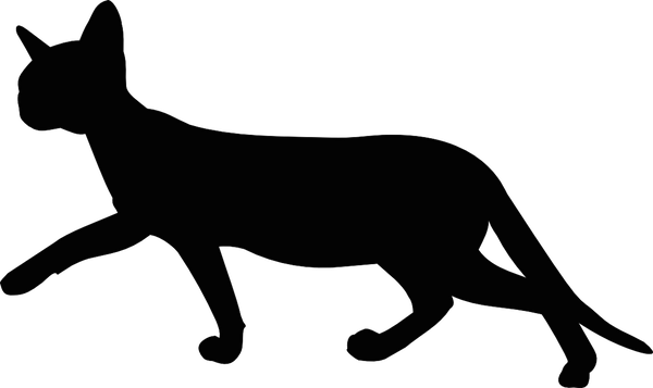 600x357 Cat Silhouette Transparent Background