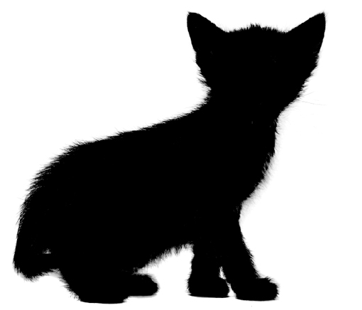 510x436 Face Clipart Transparent Background