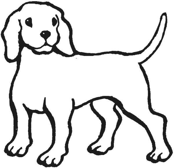 600x581 Dog And Cat Outline Clipart