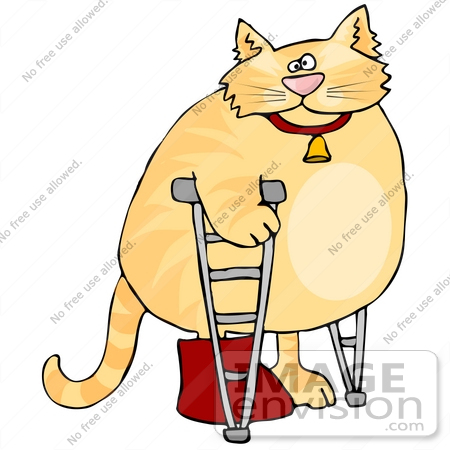 450x450 Orange Ginger Tabby Cat With Its Leg In A Cast, Using Crutches