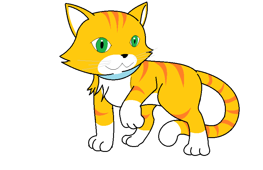 856x554 Cat Drawing By Blacktailedwolf