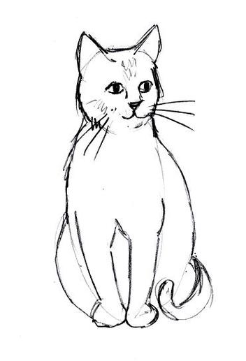 352x517 Pictures Cat Drawings Simple,
