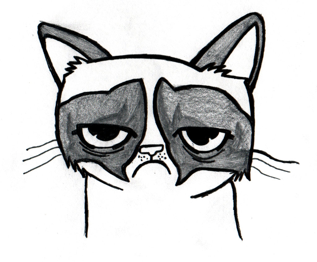 1024x847 Grumpy Cat Drawing By Jordantckr