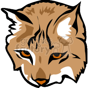 300x300 Royalty Free Close Up Detail Of Lynx Face 130896 Vector Clip Art