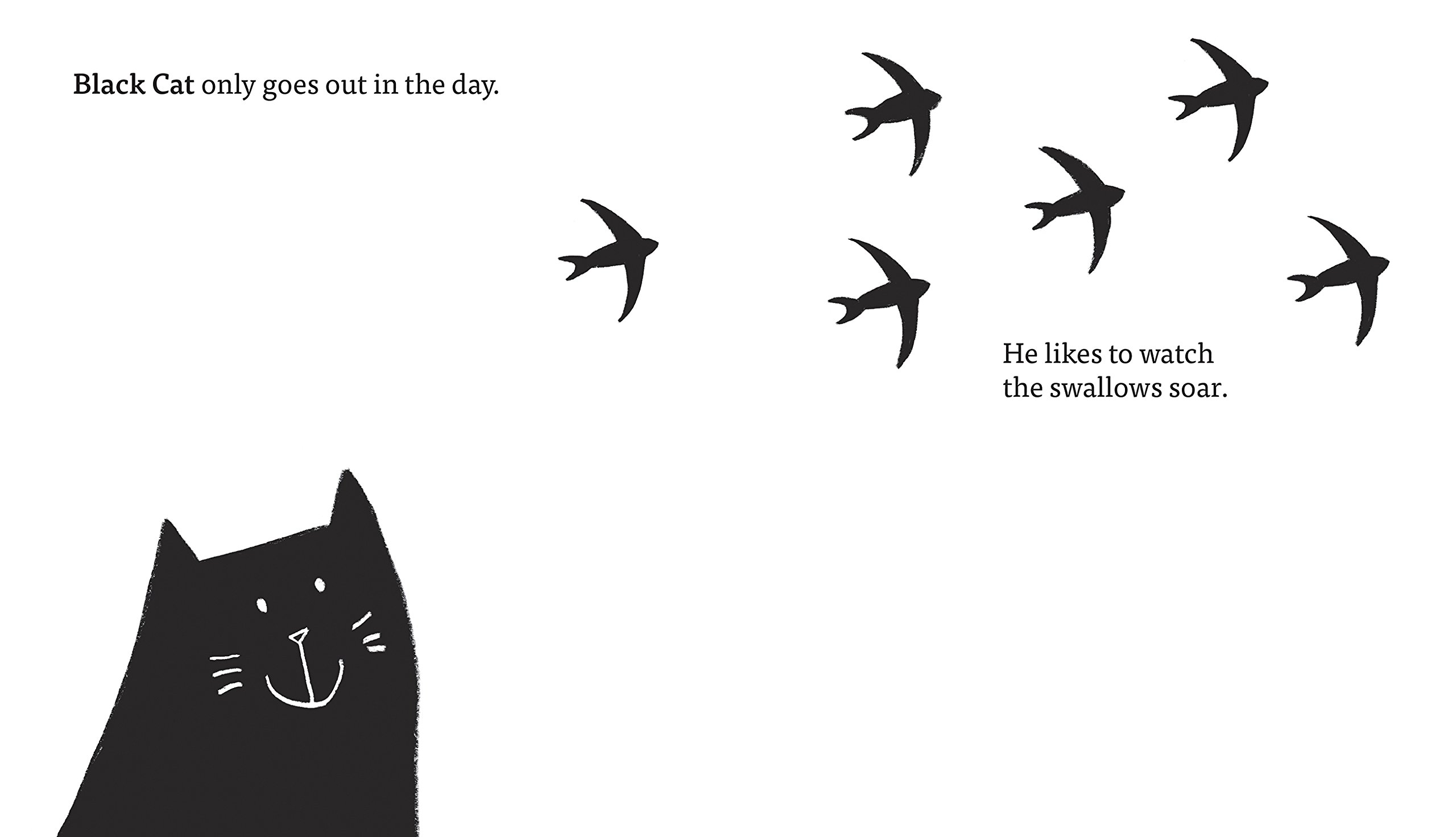 Cat In Black And White