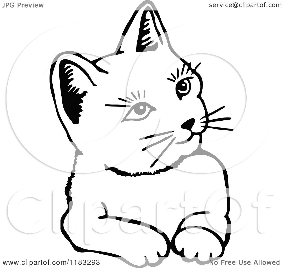 1080x1024 Clipart Of A Black And White Cat 2