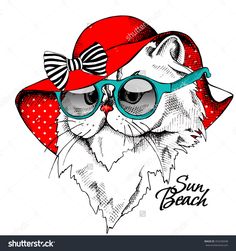236x251 The Poster With Image Of The Cat In The Summer Hat With The Bow