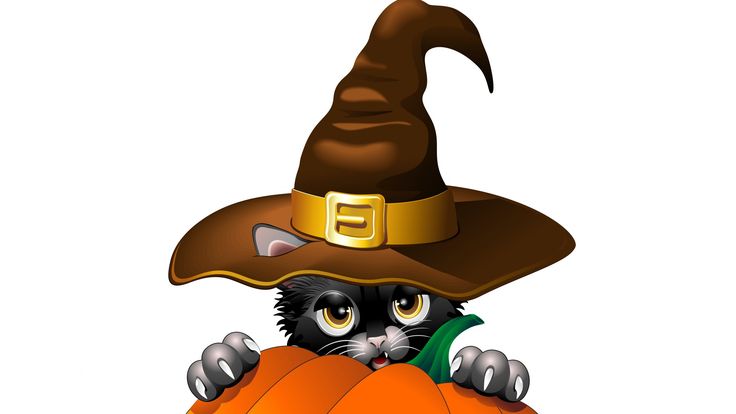 736x414 3840x2160 Wallpaper Cat, Hat, Halloween, Pumpkin Ideas