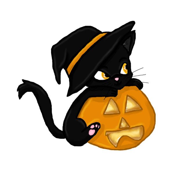 600x600 77 Best Funny Cats Images Baby Kittens, Funny