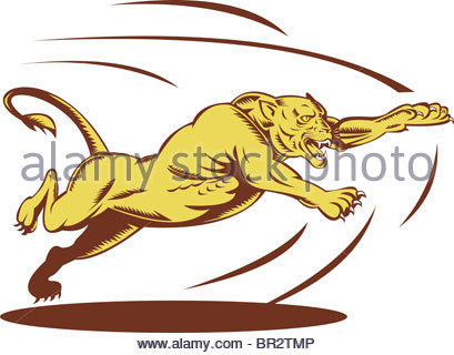 409x320 Big Cat Clipart Lion Lioness