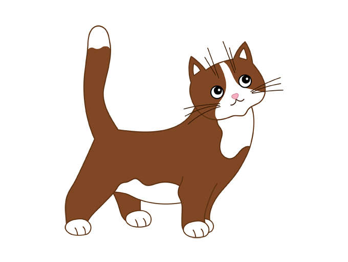 680x511 Cat Clipart