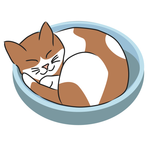 500x500 Siamese Cat Clipart Sleep Cartoon