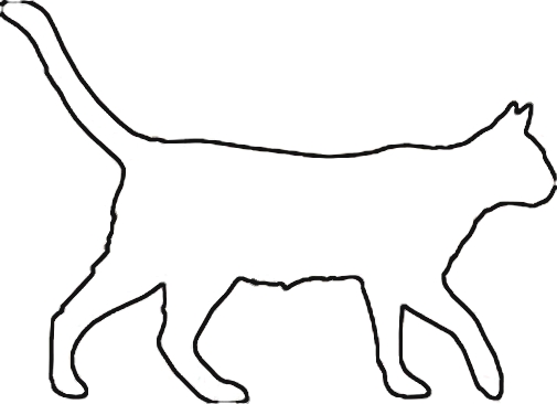 505x366 Cat Outline Free Download Clip Art Free Clip Art On Clipart