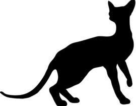 270x210 Design Several Cat Outlinesillustrations Freelancer