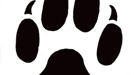 570x320 Dog Paw Print Drawing Craft Sites For Kids Cat Paw Clip Art