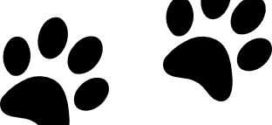 272x125 Paw Prints Clipart On Cat Paw Clip Art