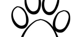 272x125 Cat Paw Clipart Clipart Panda