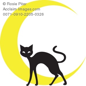 300x298 Art Illustration Of The Silhouette Of A Cat In Front Of A Crescent