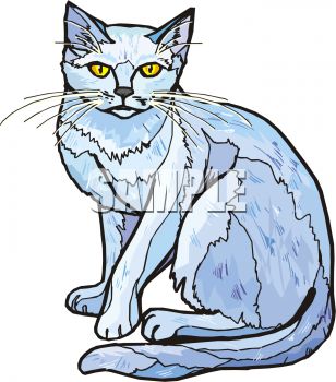 308x350 Picture Of A Cat Sitting Down In A Vector Clip Art Illustration