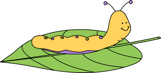 543x246 Caterpillar On A Leaf Clip Art