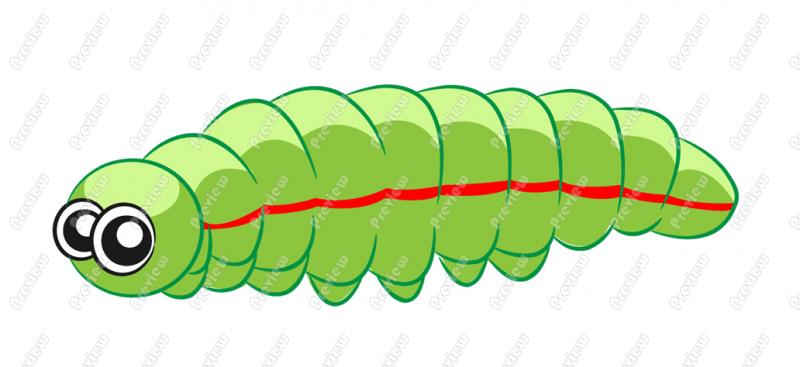 800x367 Caterpillar Character Clip Art
