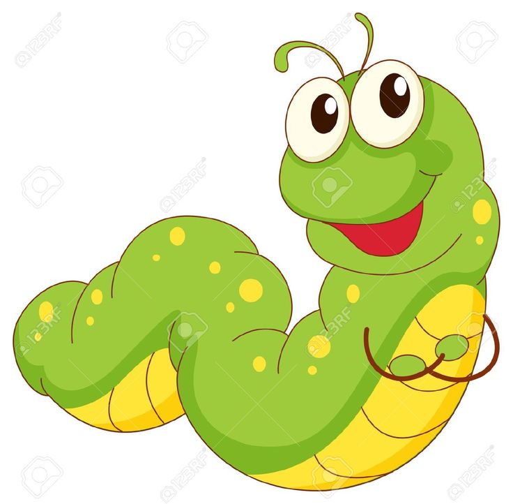 736x722 7 Best Green Caterpillars Images Pictures, Felt