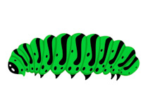 210x153 Caterpillar Clipart Insect