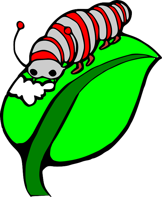 527x640 Caterpillar Eating Leaf Clipart