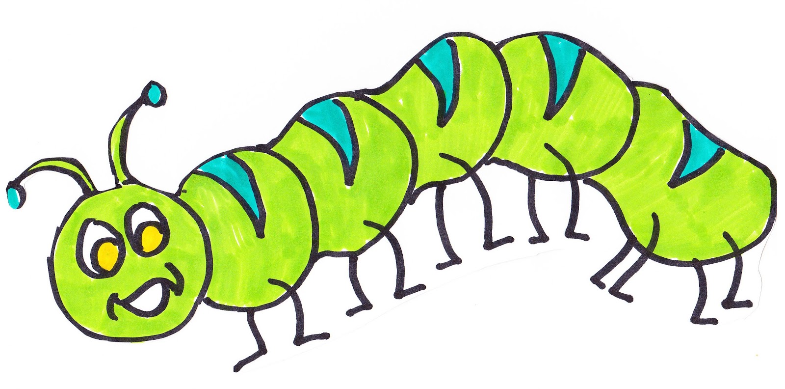 1600x792 Sick Clipart Caterpillar