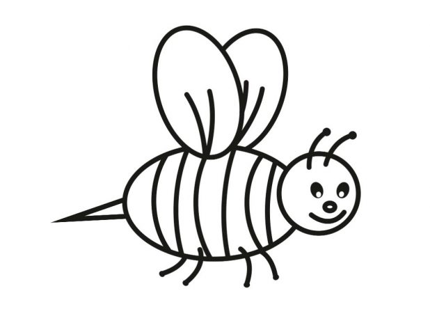 618x464 Lovely Caterpillar Coloring Page On Pages For Adults With Free