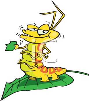 307x350 Caterpillar Eating A Leaf