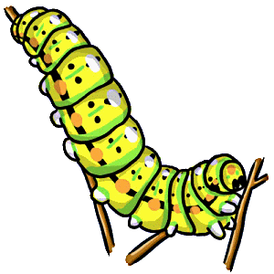 300x300 Caterpillar Clipart Caterpillar Butterfly