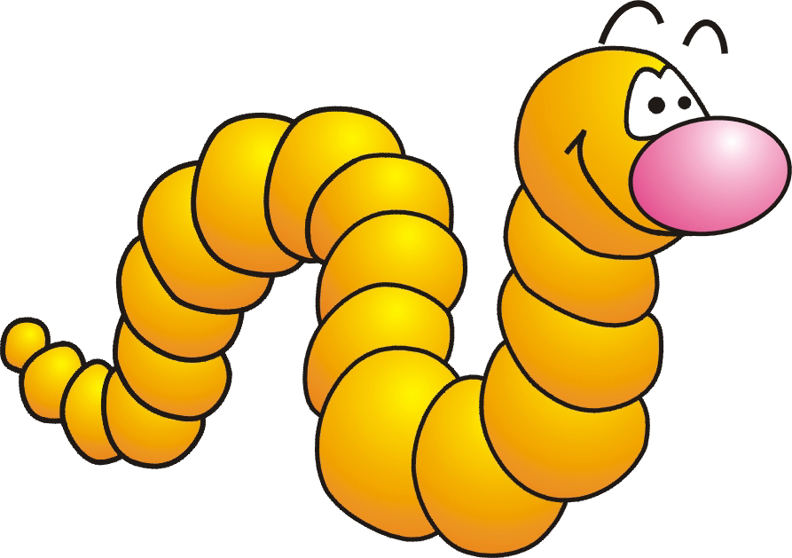 893x629 Cartoon Caterpillar Cliparts 186765