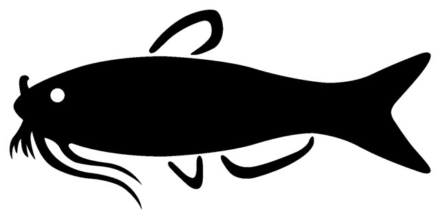 640x320 Image Of Catfish Clipart
