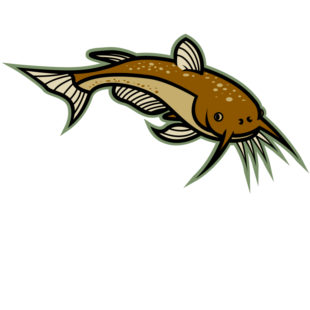 1024x1024 Image Of Catfish Clipart