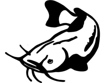 340x270 Cat Fish Decal Etsy