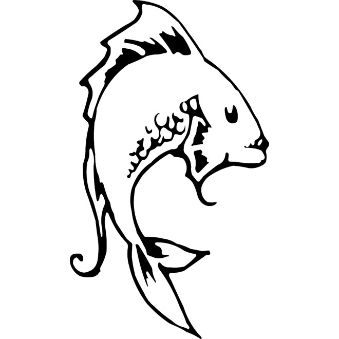 Catfish Drawing