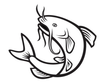 Easy Catfish Drawings Images Sketch Coloring Page