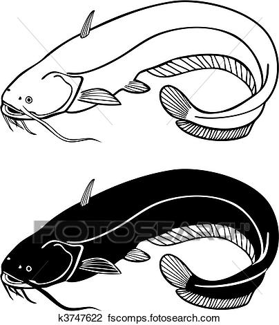 404x470 Clipart Of Catfish, Vector Illustration K3747622