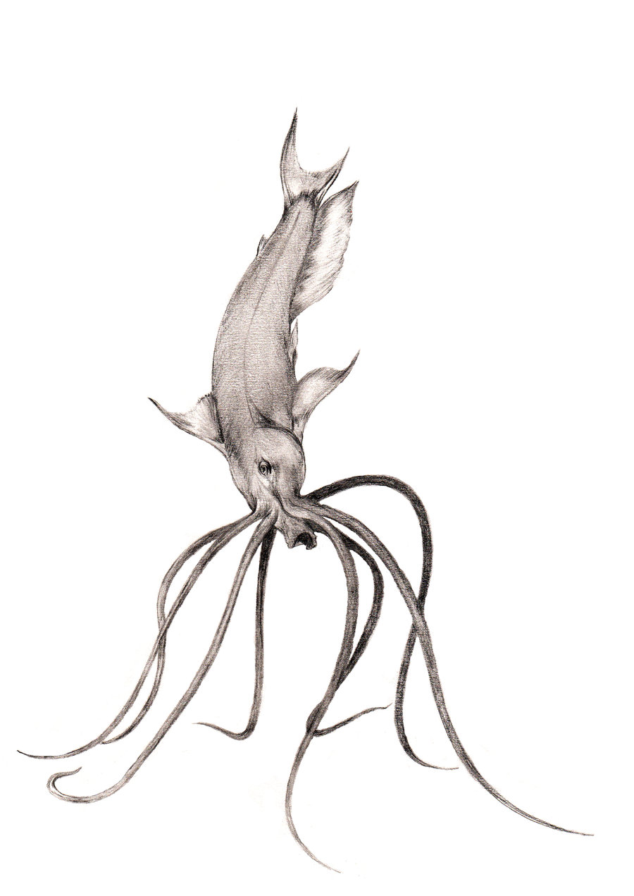 900x1271 Wattle Walking Catfish By Amplion