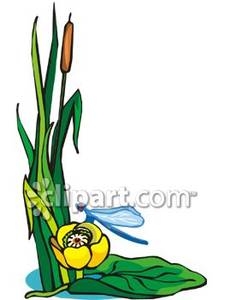 225x300 Pond Plant Clipart