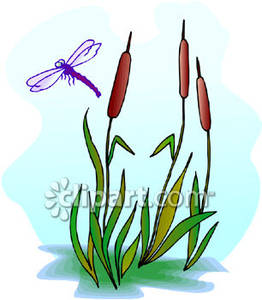 262x300 Purple Dragonfly Above Cattails Royalty Free Clipart Picture