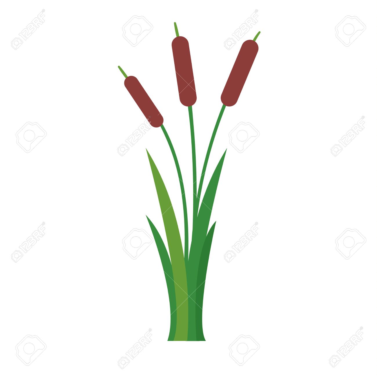 Cattail Clipart