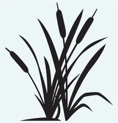 236x247 Cattail Cliparts, Stock Vector And Royalty Free Cattail