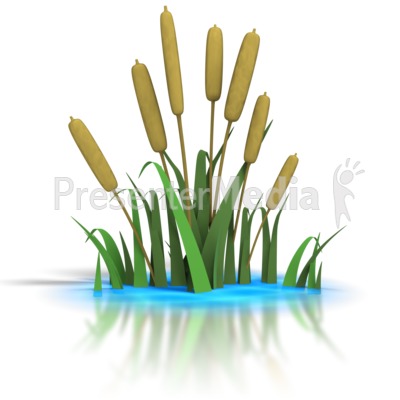 400x400 Top 87 Pond Clip Art