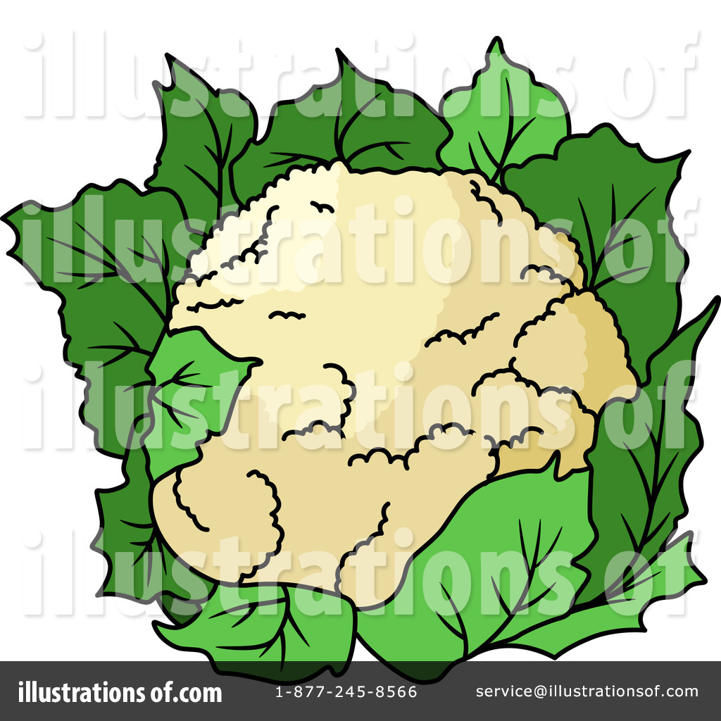 1024x1024 Cauliflower Clipart