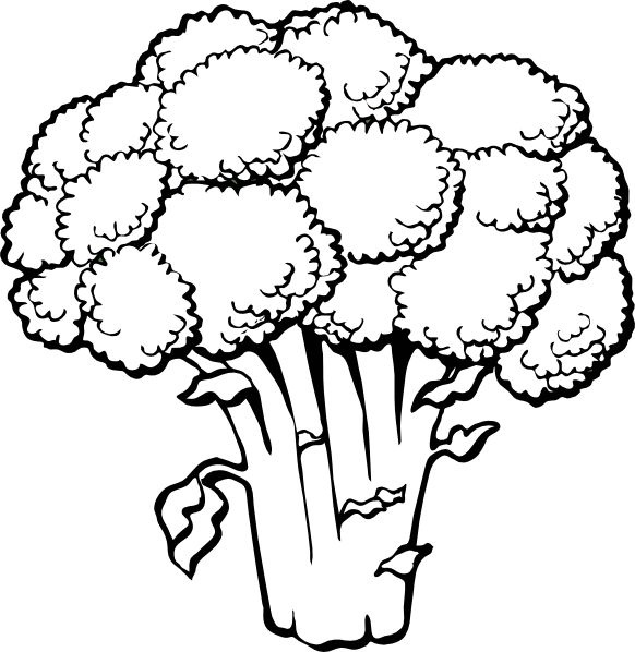 582x598 Cauliflower Clipart Black And White Letters Example