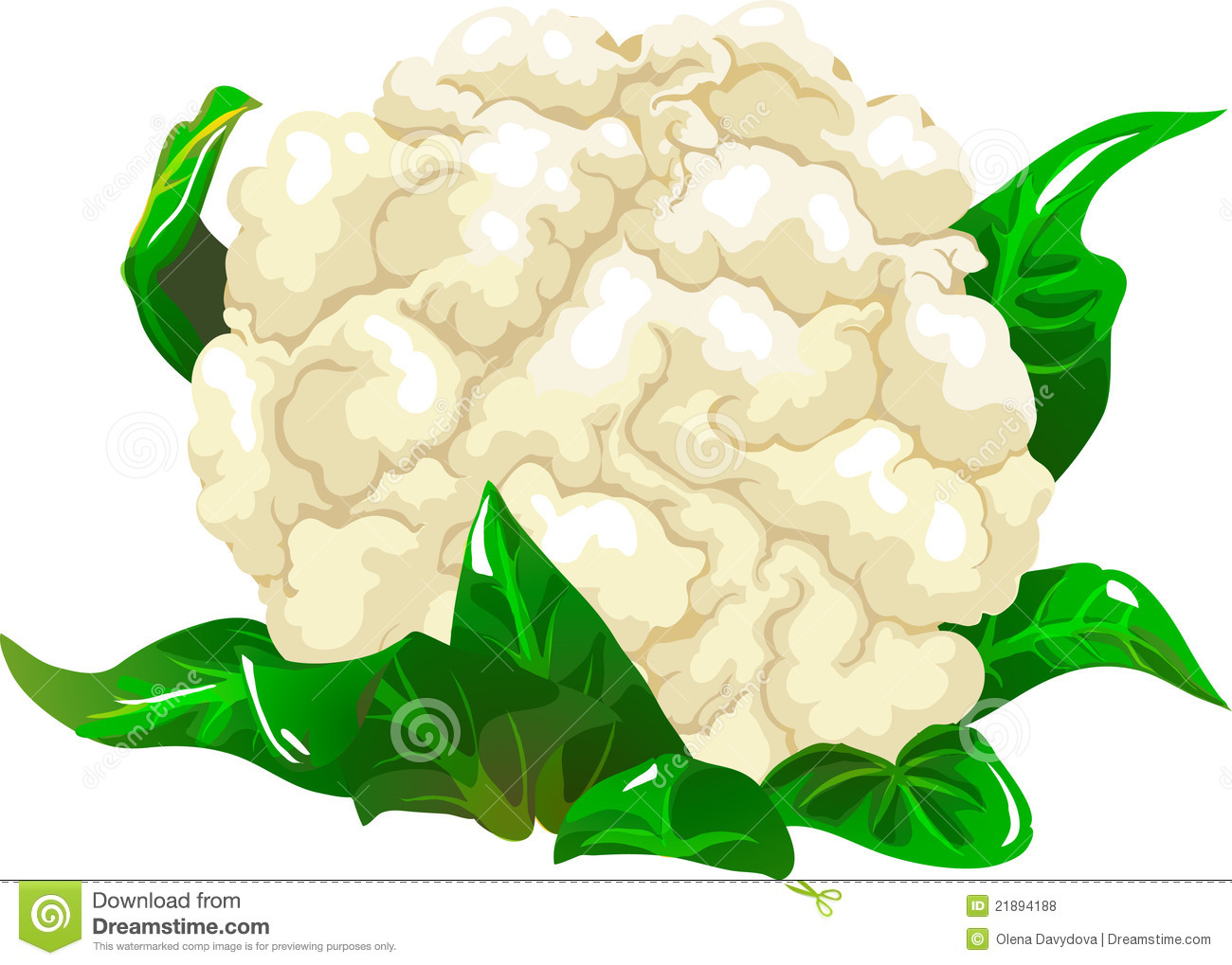 1300x1019 Cauliflower Clipart